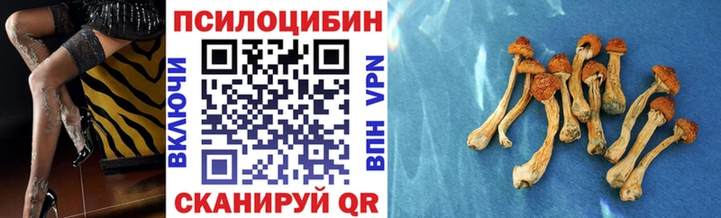 Псилоцибиновые грибы MAGIC MUSHROOMS  сколько стоит  Азнакаево 